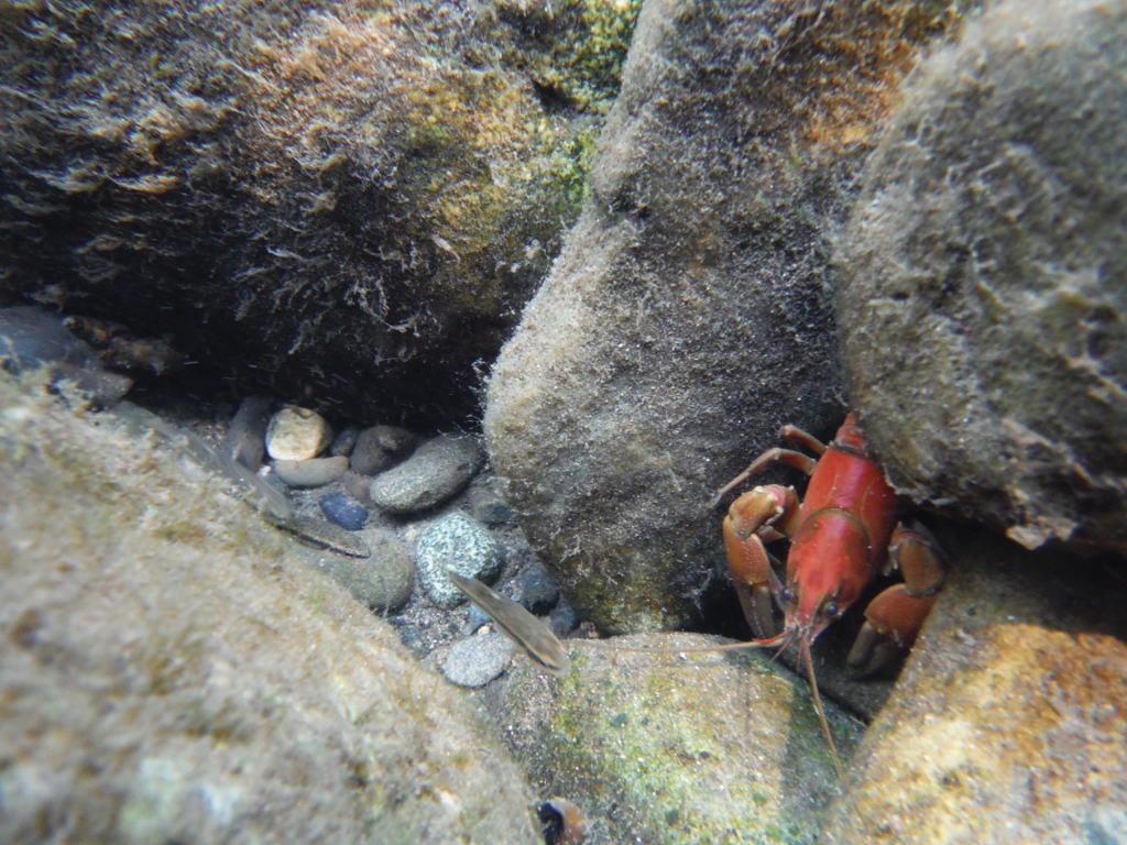 Photo 8 from COQUILLE WATERSHED ASSOCIATION
